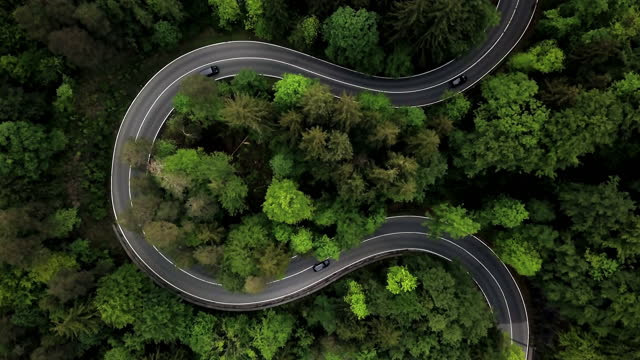 Curved road winds through the dense green forest. Sustainability and e-mobility combined in one image.