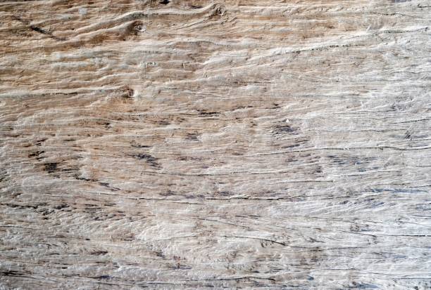 Wood texture background. Grunge wood stock photo