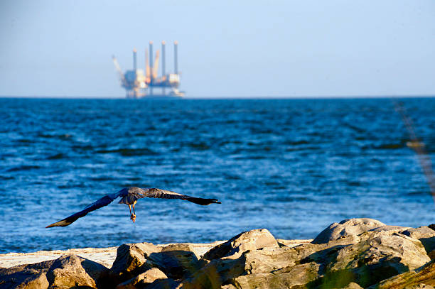 Flying Crane and Oil Rig