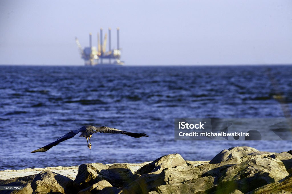 Voar Guindaste e Plataforma Petrolífera - Royalty-free Golfo do México Foto de stock