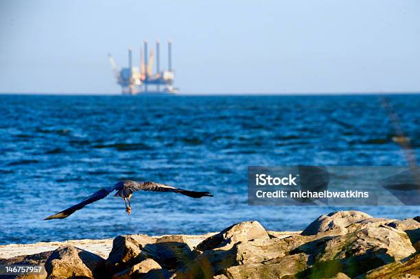 Voar Guindaste E Plataforma Petrolífera - Fotografias de stock e mais imagens de Golfo do México - Golfo do México, Plataforma de alto-mar, Sonda de perfuração