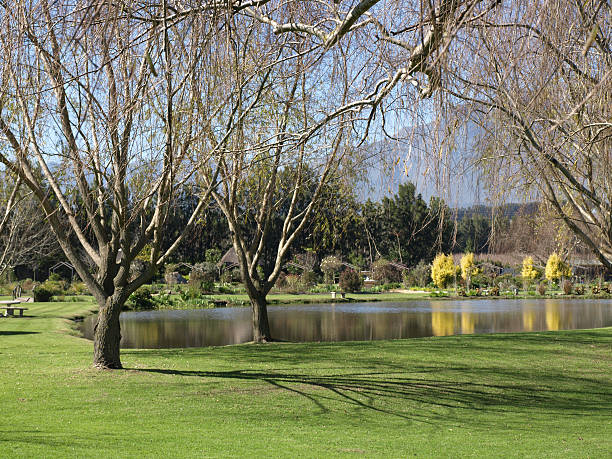 istock Garden Pond in Autumn 146758421