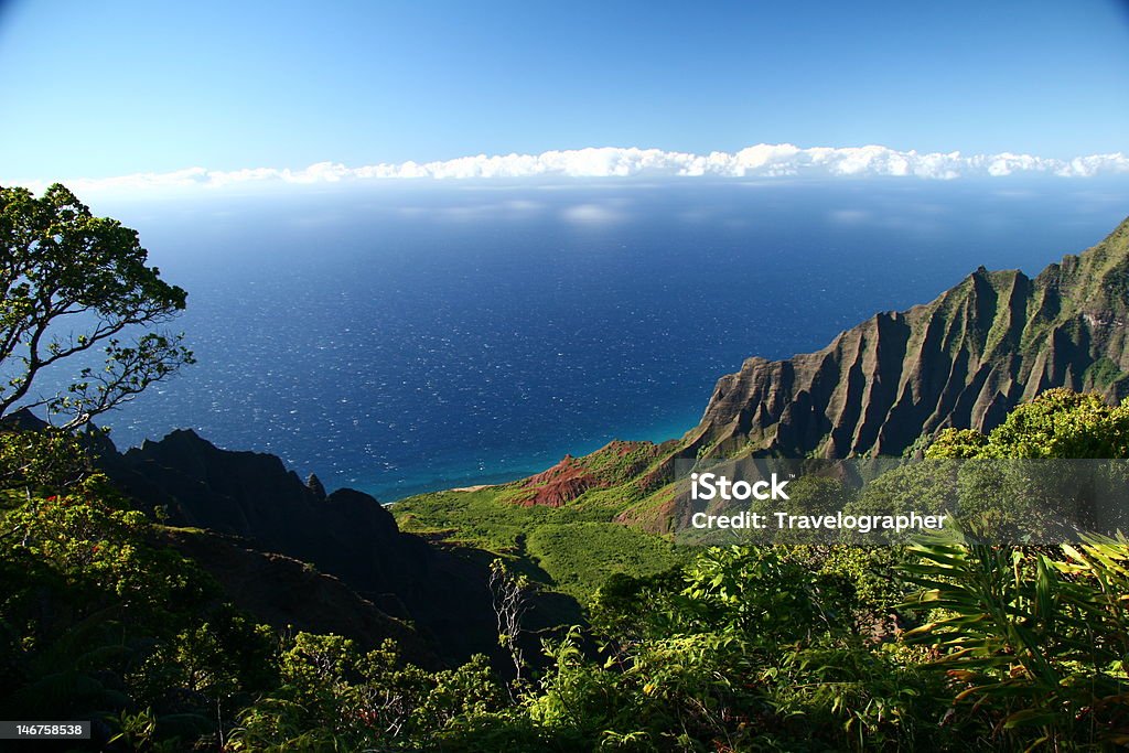 Kalalau Valley Overlook, Kauai (Hawaiian Islands) Stunning view of the lush Kalalau Valley from Kalalau Valley Overlook in Waimea Canyon State Park. Aerial View Stock Photo