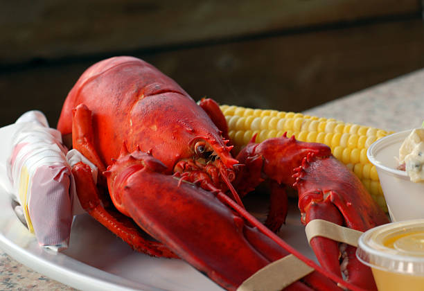 랍스터 할 수 있는 곳 - corn on the cob corn cooked boiled 뉴스 사��진 이미지