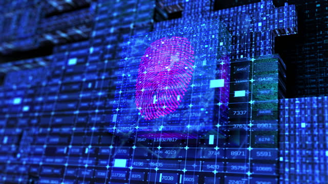 Fingerprint, digital environment, cybersecurity concerns