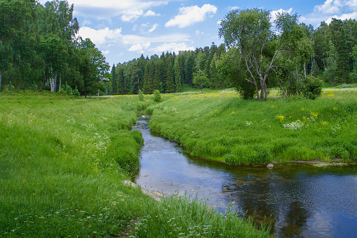 Idyllic landscape with river, forest and green meadows and hills. Serenity, peace, silence. Natural Wallpaper.