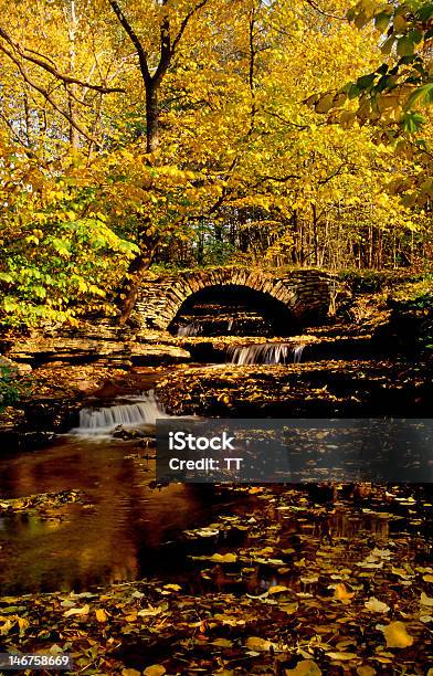 Velha Ponte De Pedra - Fotografias de stock e mais imagens de Amarelo - Amarelo, Ao Ar Livre, Arbusto