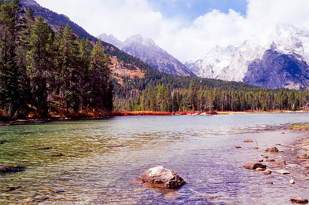 山の川 - boreal forest lake riverbank waters edge ストックフォトと画像