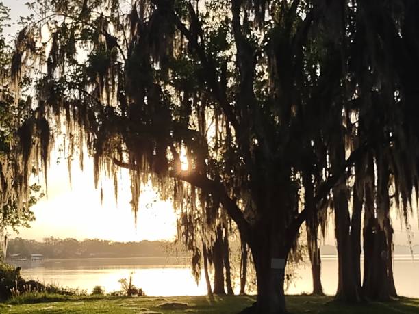 istock Reflections of the morning 1467587443