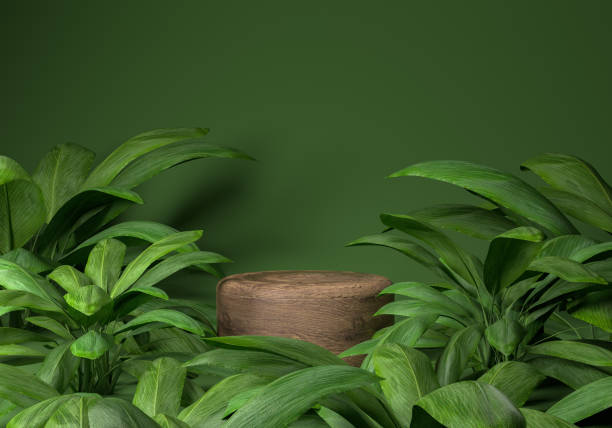 istock podium inside plants the jungle. Sustainability concept. 1467589386