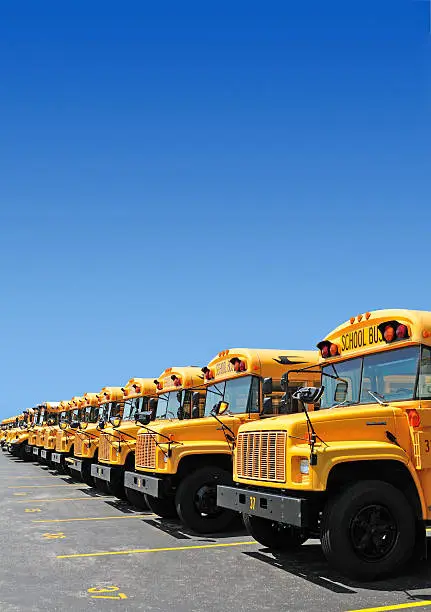 group of the school buses in the parking lot over the blue sky background