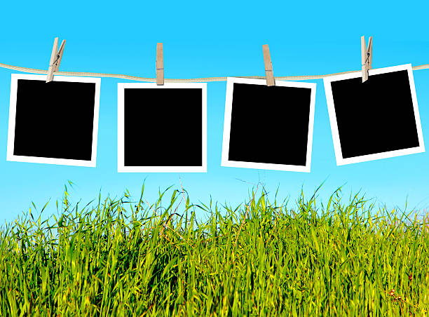 istock Blank photographs on clothesline 146759213