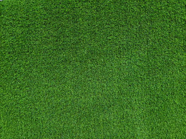 緑の草の壁の背景