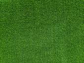 istock green grass wall background 1467592155