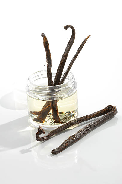 Raw vanilla in oil stock photo