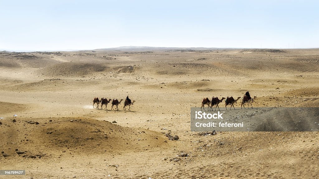Kamele an den Pyramiden von Gizeh-plateau, Kairo, Ägypten - Lizenzfrei Afrika Stock-Foto