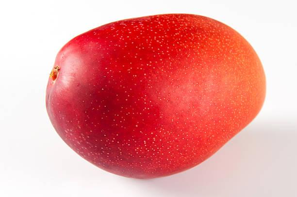 Red mango stock photo