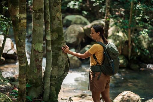 Mid-adult woman is standing by the river and holding her hand on a tree trunk in the forest.
