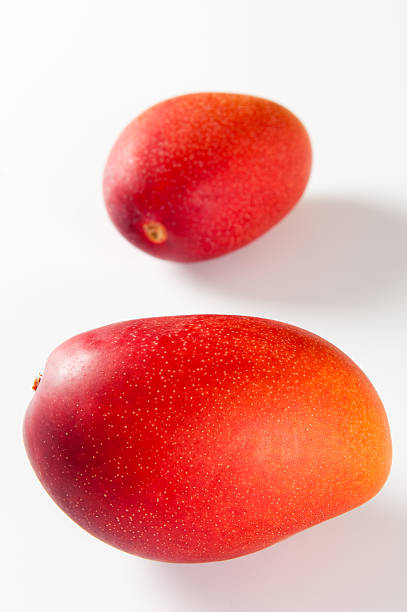 mango stock photo