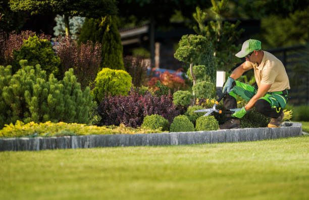 istock Landscape Garden Maintenance Professional at Work 1467596745