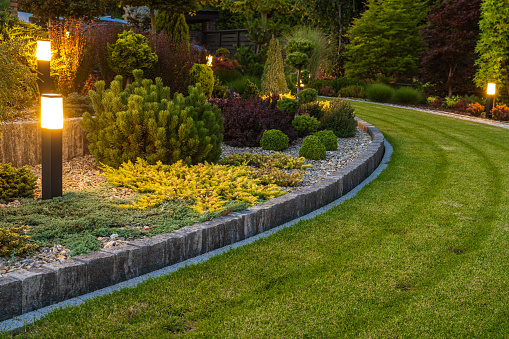 Professionally Landscaped Backyard Garden with Evenly Mowed Lawn and Trimmed Shrubs Illuminated with Outdoor Bollard Lamps.