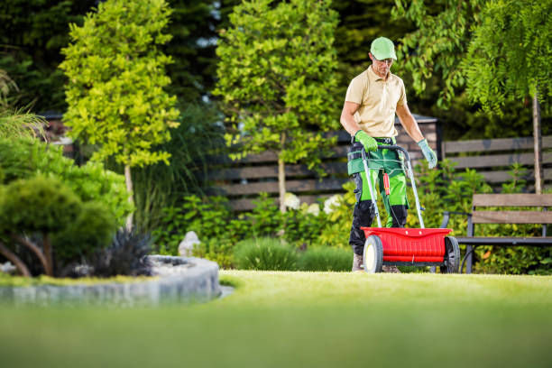 istock Professional Gardener with Lawn and Garden Seed Spreader 1467597384
