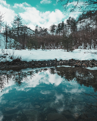Vista de un lago que se refleja en un bosque de pinos photo