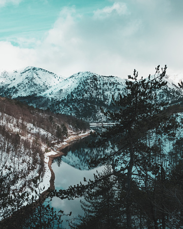 Panorama de un lago en montaña entre madera y pino photo