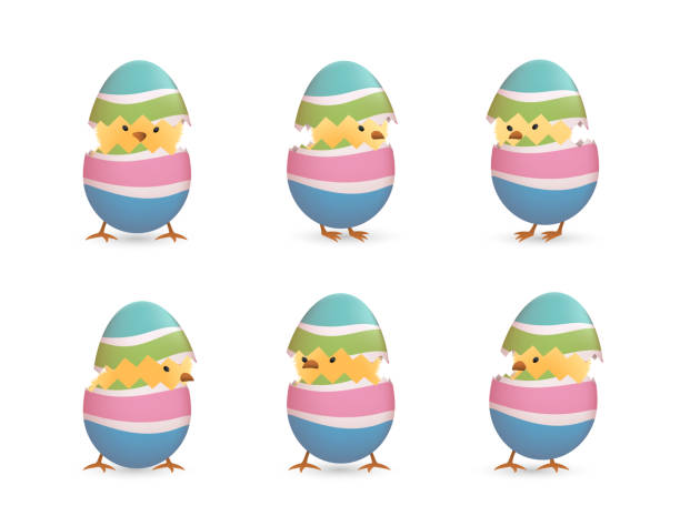 pisklęta w złamanych tęczowych easter eggach zestaw 01 - chicken strip stock illustrations