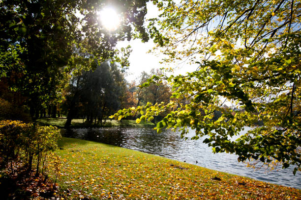 Autumn lakeside golden view
