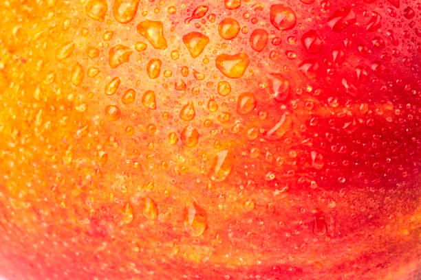 istock Detail shooting with ripe mango. 1467604881