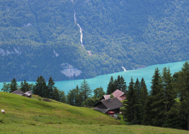 istock View from Planalp, Lake Brienz. 1467605209