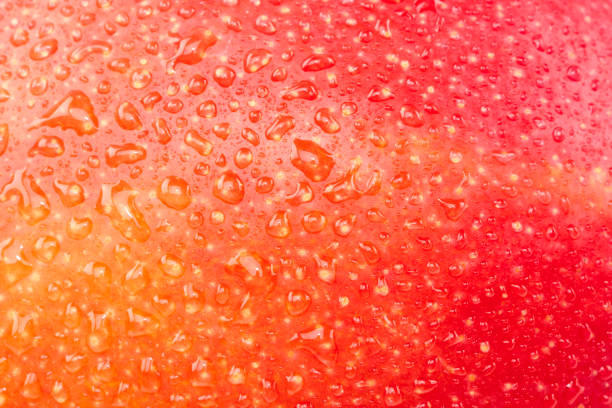 istock ipe tropics mango fruits on clear background. 1467607277