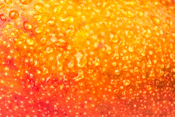 istock Delicious ripe mango detail with green studio shot. 1467607545
