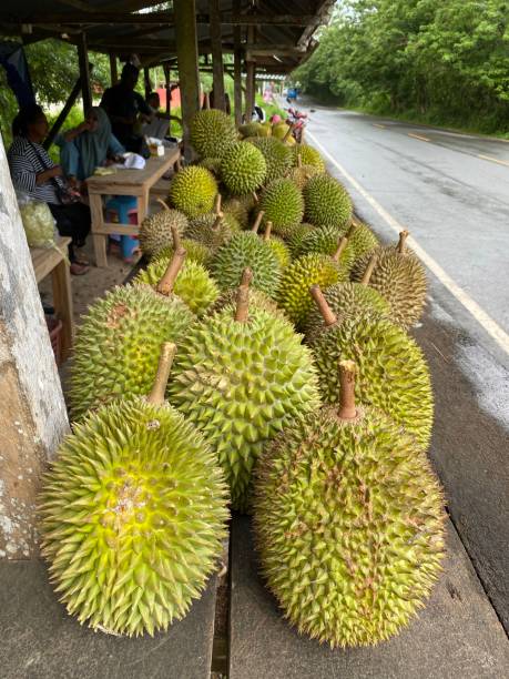 istock Delicious durian fruit 1467608172