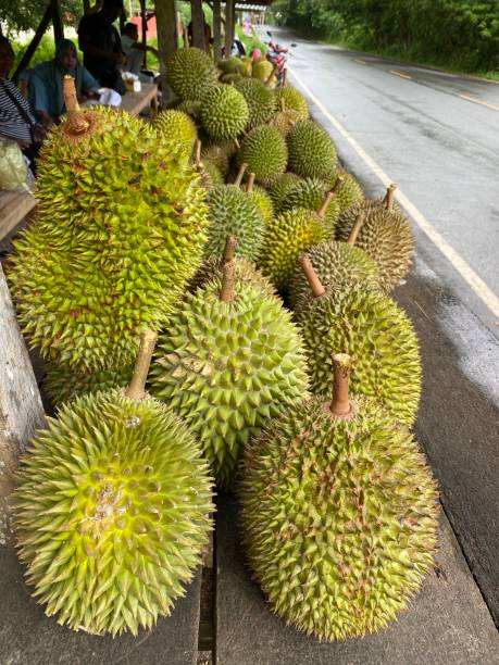 istock Delicious durian fruit 1467608726