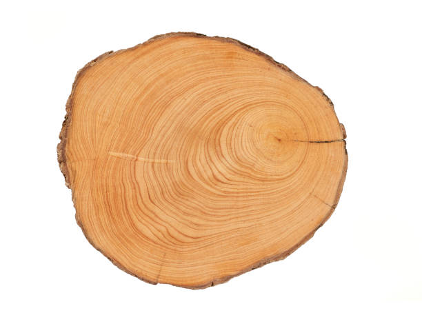 istock Wood plank to use as background and texture. 1467609472