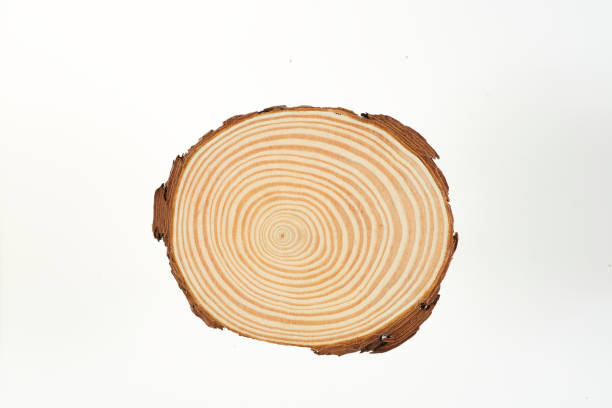 istock Texture of wood use as design background. Brown color. 1467609582