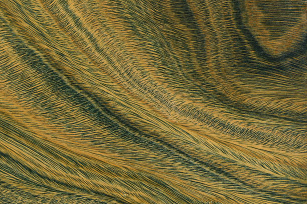 istock Green and brown PaloSanto wooden pattern. 1467611530