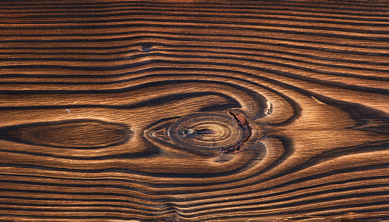 A fragment of a hardwood.