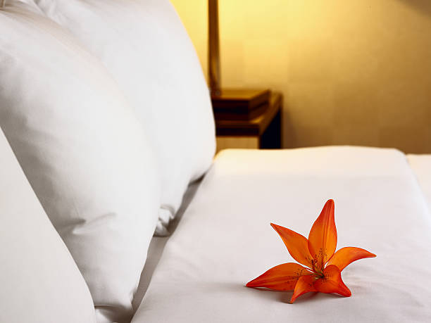 An orange bloom atop crisp white linens on a bed stock photo