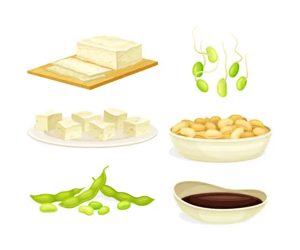 Vector illustration of Soy Products with Legume Pod, Beans in Bowl, Tofu Cheese and Sauce Vector Set