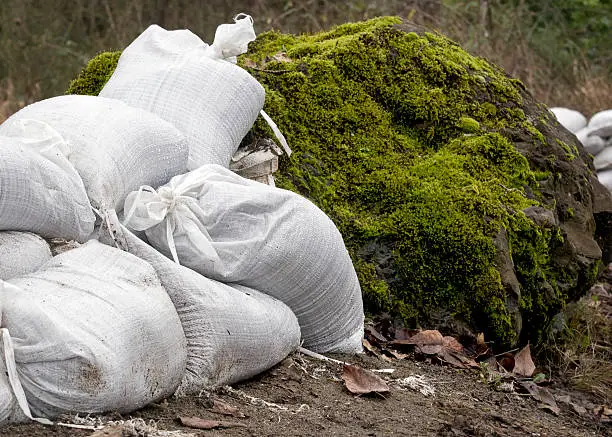 Sandbags and mossy boulders provide protection from flooding along the riverbank.