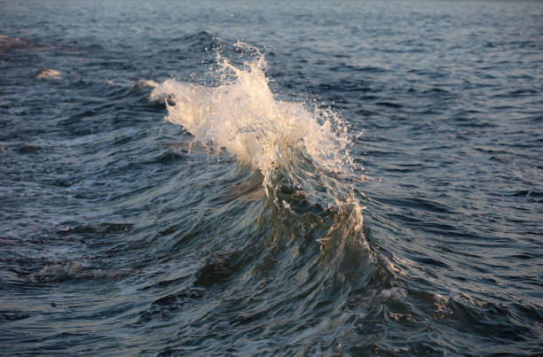 Sea waves. Sea of Marmara. Waves stock photo.
Location : Istanbul - Turkey berk stock pictures, royalty-free photos & images