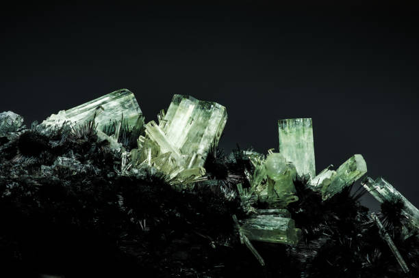 istock Goshenite crystals (variety of beryl) on black tourmaline (called schorl). 1467619937