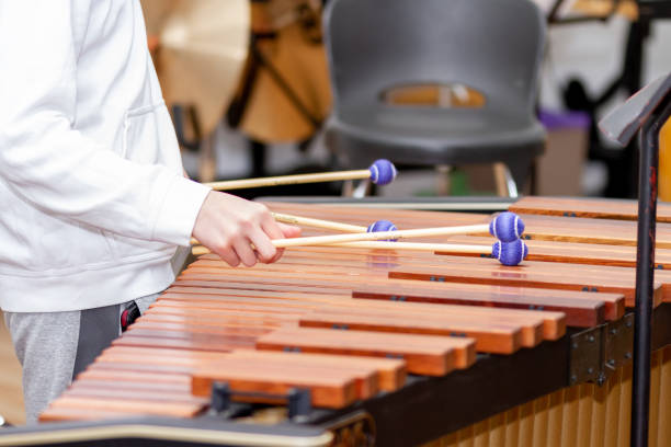 320+ Marimba Players Stock Photos, Pictures & Royalty-Free Images - iStock
