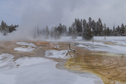 a scenic landscape in Yellowstone National Park Wyoming in winter