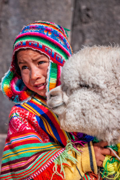 istock Peruvian little boy with an alpaca near Cuzco 1467622741