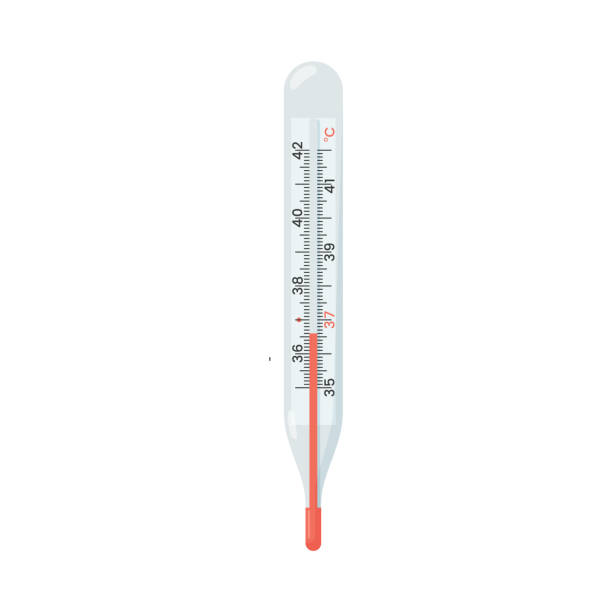 Thermometer for measuring body temperature, Celsius scale flat style Thermometer for measuring body temperature, Celsius scale flat style, vector illustration isolated on white background. Numbers, health, red indicator, glass medical instrument mercury metal stock illustrations