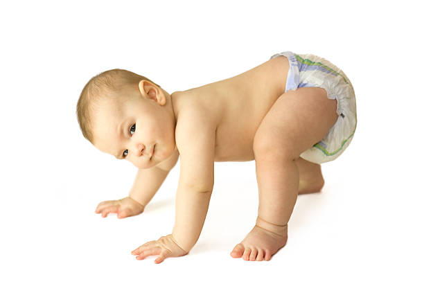 istock A baby crawling on its hands and feet 146762371